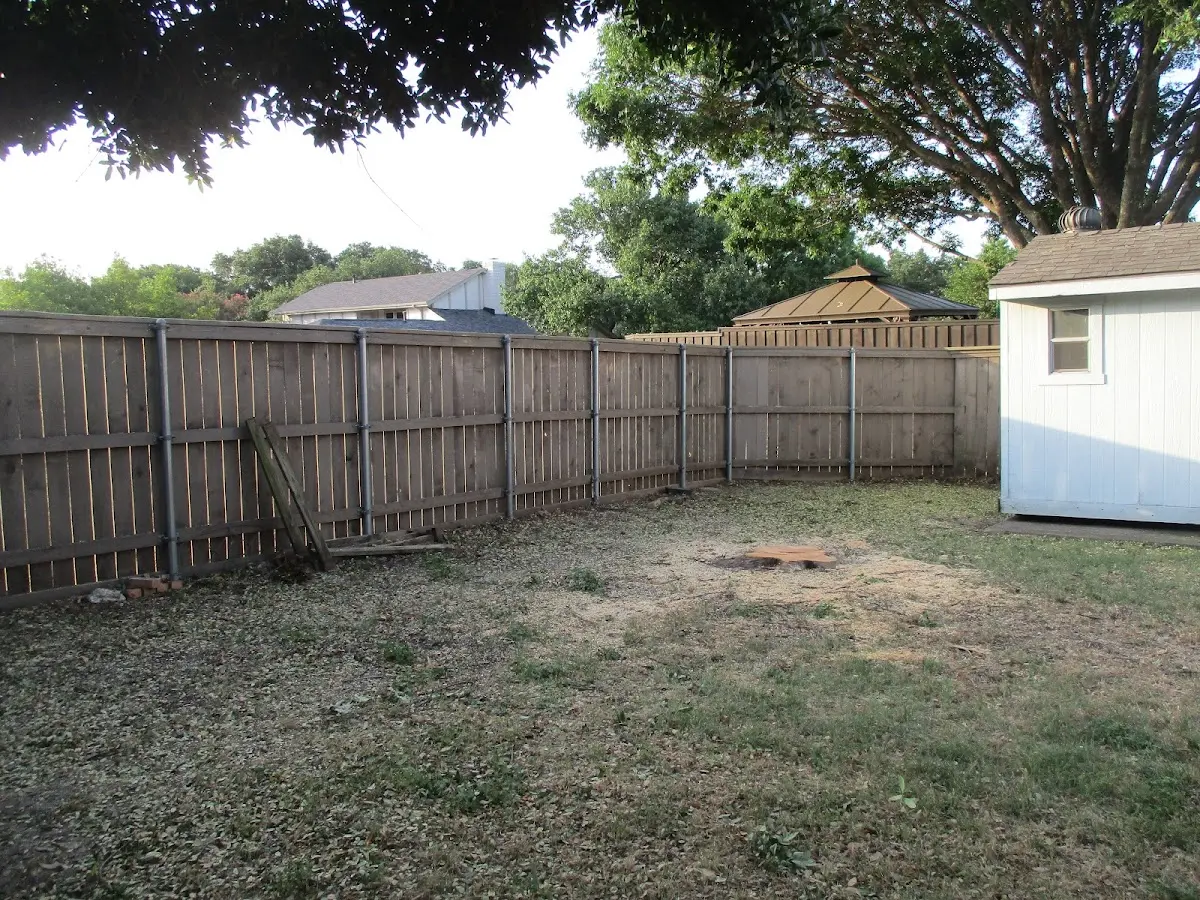 Cleared yard after professional tree removal in Woodland Hills